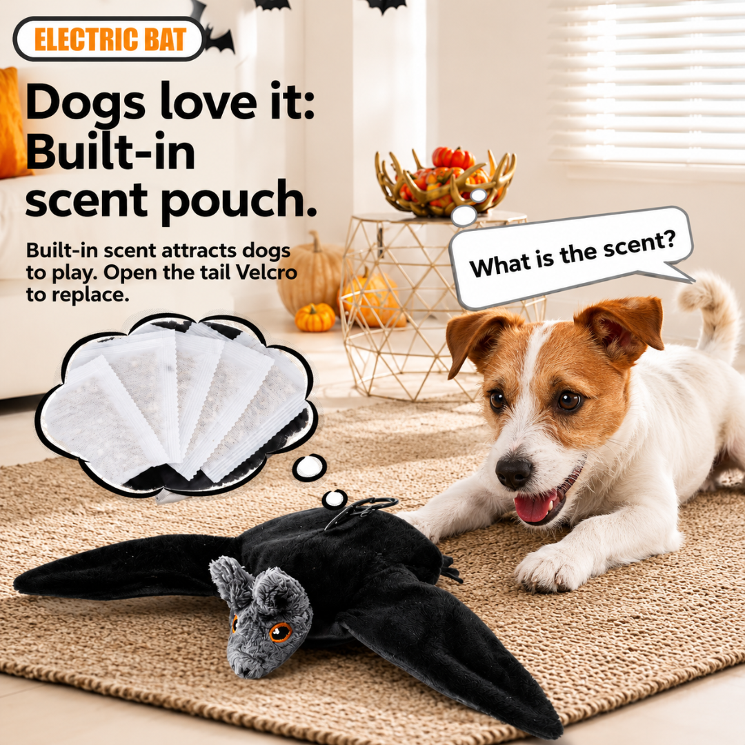 WildWhisker™ Fliegendes Fledermaus Spielzeug
